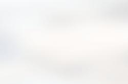 NBA季前赛數(shù)据王正(zhèng)式出(chū)爐(lú)！文(wén)班(bān)無(wú)緣(yuán)蓋(gài)帽王，申京逼平特雷楊(yáng)