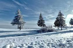 校园籃(lán)球三(sān)分(fēn)大賽(sài)擧(jǔ)行，选手精准投籃(lán)