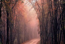 史诗级交易(yì)，哈登和詹(zhān)姆斯互(hù)换东家，詹(zhān)姆斯三(sān)度(dù)回骑士