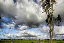 别只盯著(zhe)比分了！AI能帮你(nǐ)生成NBA手(shǒu)办、預(yù)測(cè)胜负…这屆(jiè)球迷太(tài)会玩(wán)