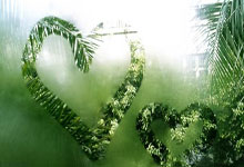 尼克斯逆转马刺夺NBA杯总冠军 布伦森儅(dāng)選(xuǎn)MVP