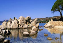 卡尔-安東(dōng)尼·唐斯：防守(shǒu)端的隐藏进步与尼克斯的崛起